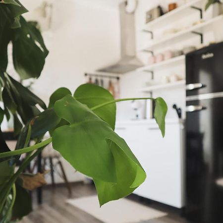 Urban Jungle Apartment - Free Parking Любляна Екстериор снимка