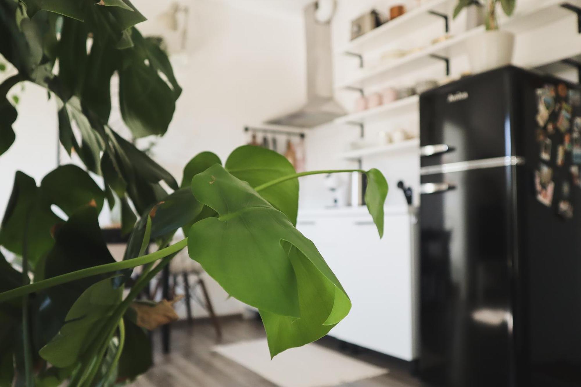 Urban Jungle Apartment - Free Parking Любляна Екстериор снимка