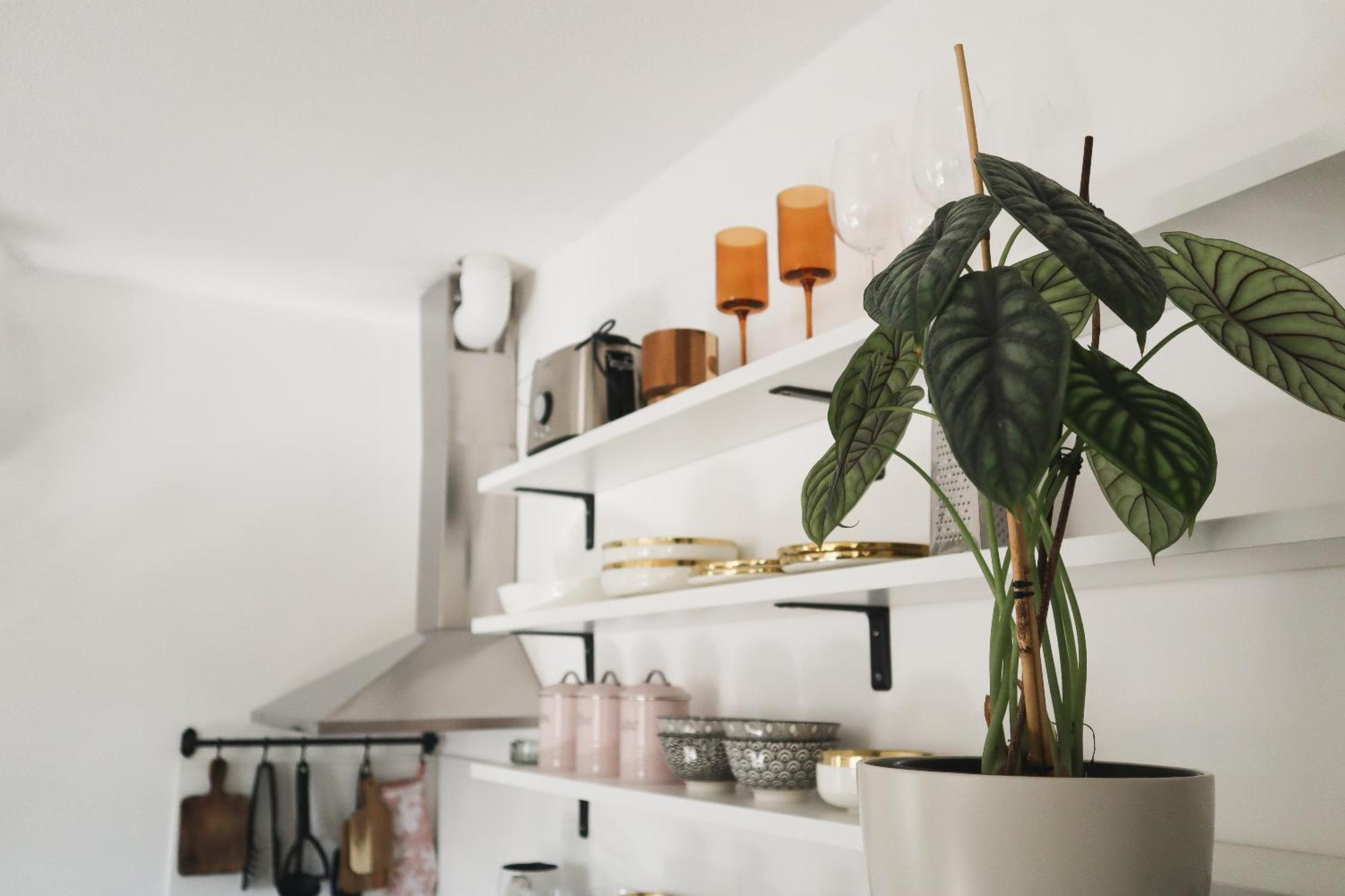 Urban Jungle Apartment - Free Parking Любляна Екстериор снимка