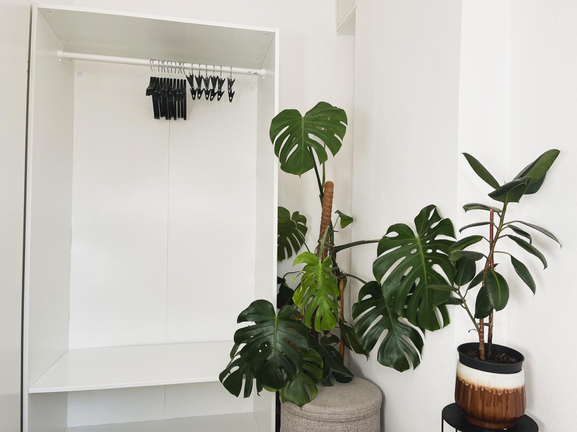 Urban Jungle Apartment - Free Parking Любляна Екстериор снимка